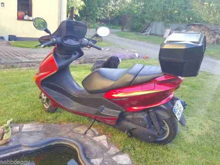 Yamaha Majesty 125ccm Roller,TÜV neu , gepflegt, wenig Kilometer , Service neu !