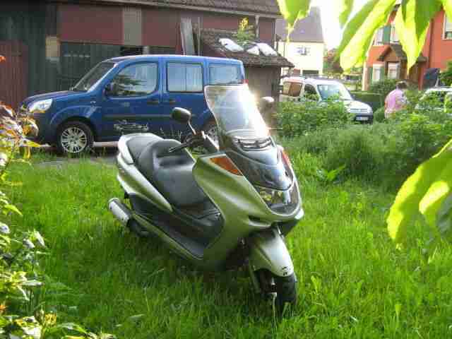  Yamaha-Majesty-YP-250