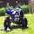 Yamaha Raptor YFM