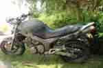 TDM 850 Ratte Ratbike Bastler