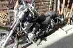 Virago 535 Chopper mit cruisen feeling