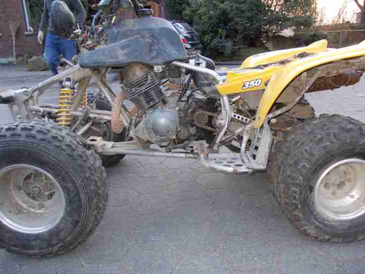 Yamaha Warrior 350