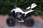 Yamaha YFM 250 Raptor