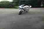 YZF R 1, Magic White