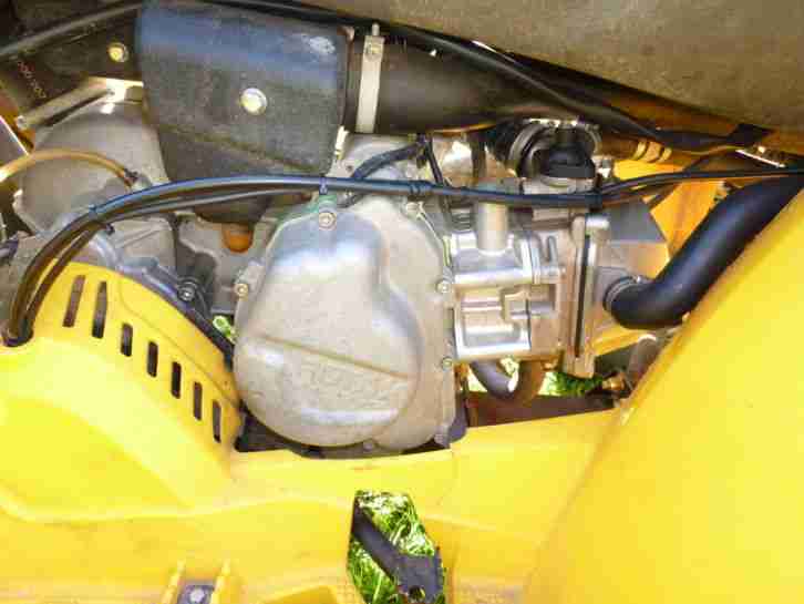 can am bombardier rally 200 Rotax Motor 18PS