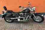 harley davidson Fat Boy