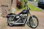 harley davidson dyna street bob