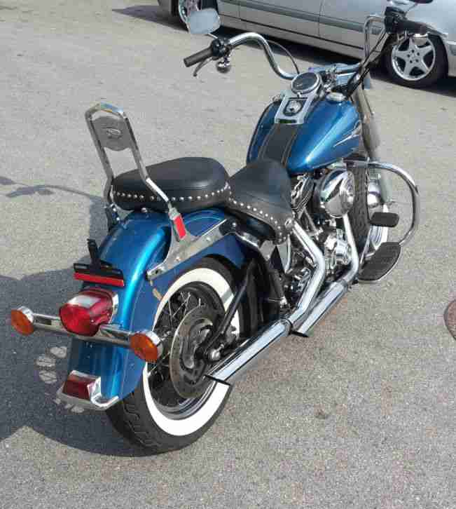 harley davidson softtail