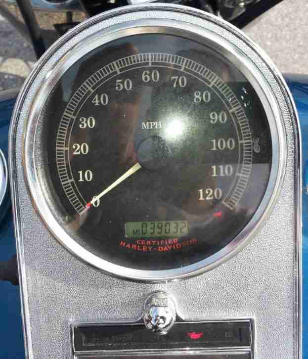 harley davidson softtail