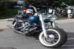 harley davidson softtail