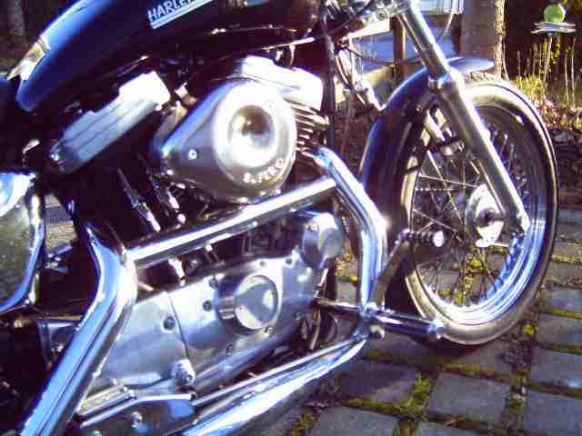 harley davidson sportster