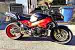 cbr 900 fireblade rr