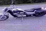 shadow VT 600 C BJ 1994