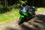 zx9r bj 2002