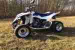 quad suzuki ltz 400 LOF Top Zustand