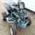 quad yamaha raptor