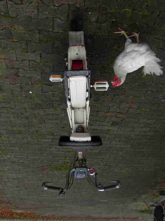 solex mofa flash garagenfuznd