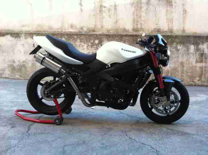 special zzr600