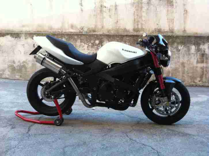 special kawasaki zzr600