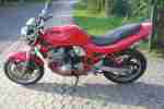 bandit 600 tuv neu