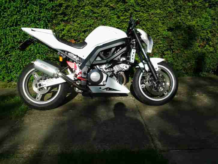 sv1000s streetfighter