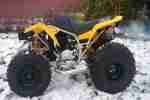 yamaha YFS 200 Blaster no banshee raptor